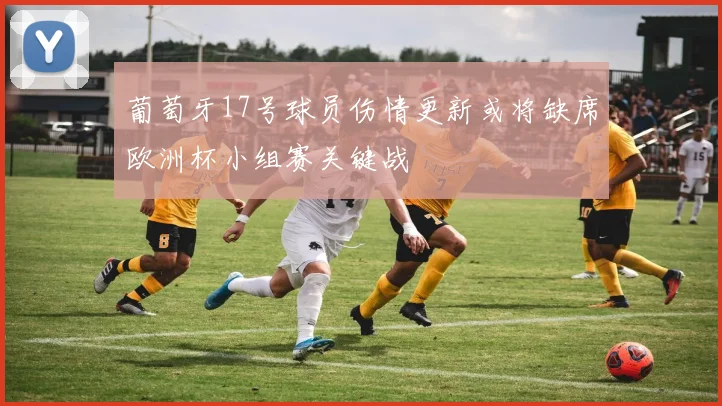 葡萄牙17号球员伤情更新或将缺席欧洲杯小组赛关键战