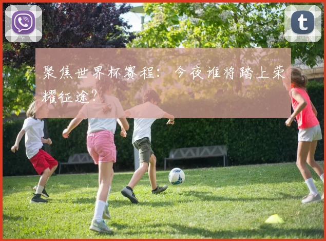 聚焦世界杯赛程：今夜谁将踏上荣耀征途？