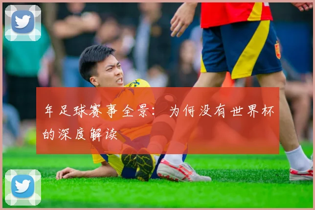 年足球赛事全景：为何没有世界杯的深度解读